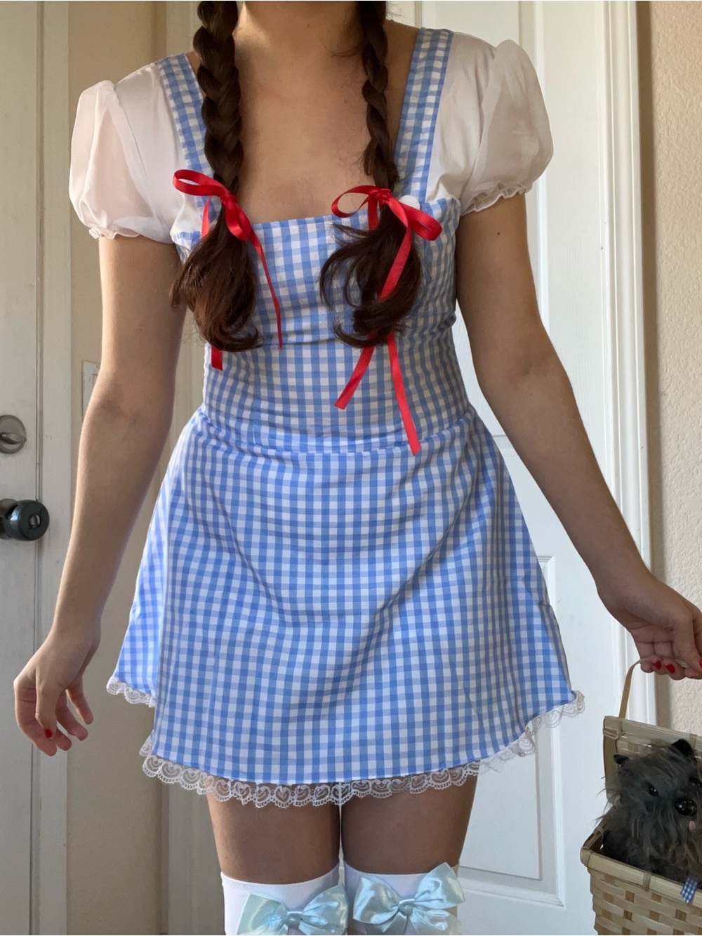 Dorothy Costume Dress + Basket & Toto Plush | Wizard of Oz 💙🤍